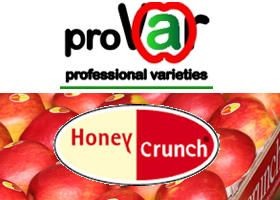 Pro Var -  Honeycrunch Deutschland