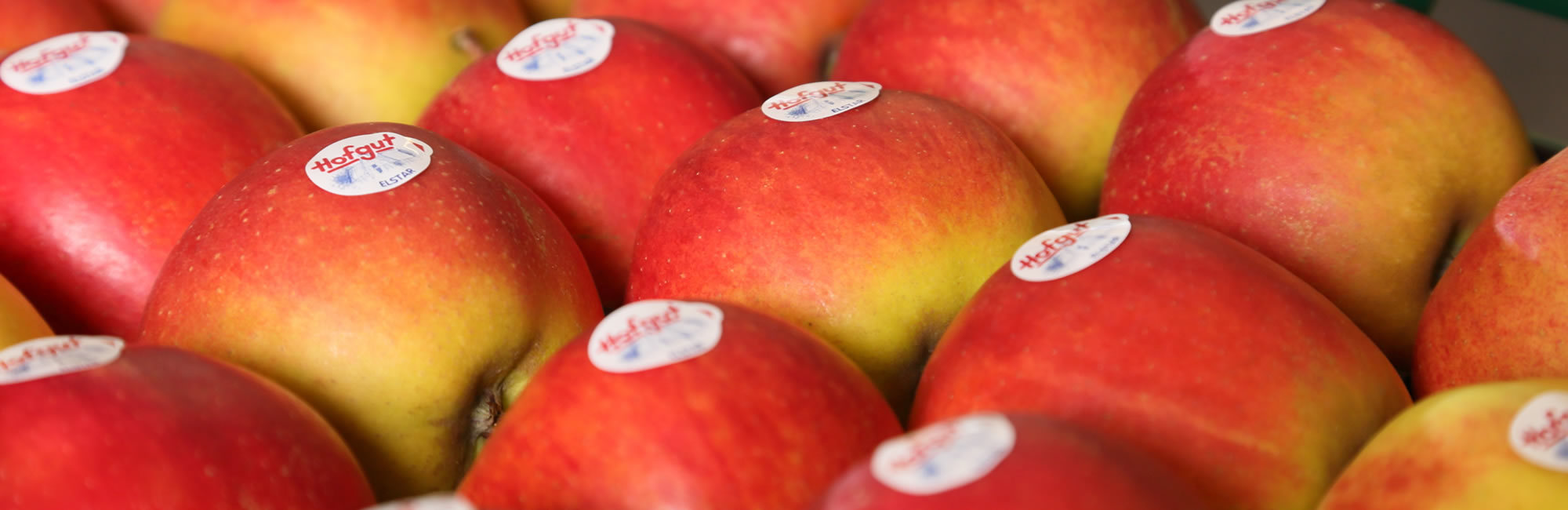 Frisches Obst aus erster Hand - das Beste von der Niederelbe für den Lebensmitteleinzelhandel