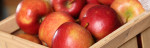 Kernobst ist unser Kerngeschäft - Leckere Äpfel und Birnen aus eigenem Anbau