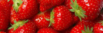Erdbeeren von Hauschildts Obsthof