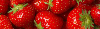 Beerenobst - Frische Erdbeeren