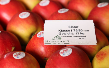 Kernobst von Hauschildts Obsthof